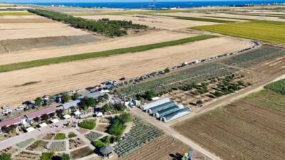 İstanbul’da Silivri Belediyesi, Tarımsal Üretim ve Araştırma Merkezi’nde düzenlenen Lavanta