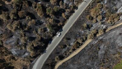 - Yangın, çam ormanlarının yanı sıra evlere ve zeytin bahçelerine