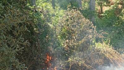 Bursa’nın İznik ilçesinde ormanlık alanda çıkan yangın, itfaiye ekiplerinin hızlı