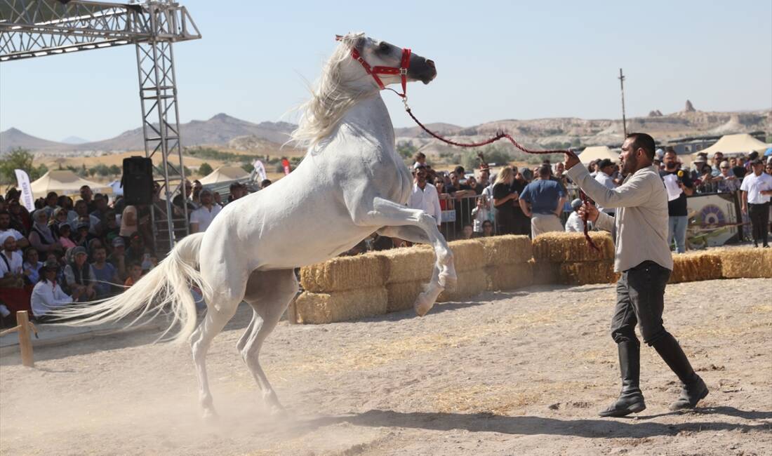 NEVŞEHİR (AA) – Nevşehir’de düzenlenen “Kapadokya At ve Atçılık Kültürü