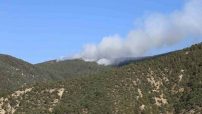 Kastamonu’da ormanlık alanda yangın çıktı. Yangın ekipler karadan ve havadan