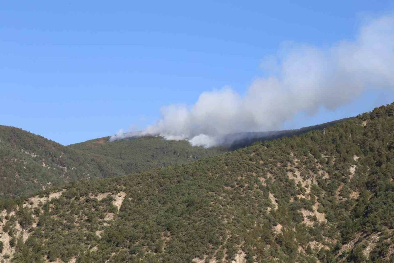 Kastamonu’da ormanlık alanda yangın çıktı. Yangın ekipler karadan ve havadan