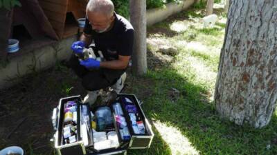 Kepez Belediyesi, yaz sıcaklarının etkisini artırdığı bu günlerde sokak hayvanlarının