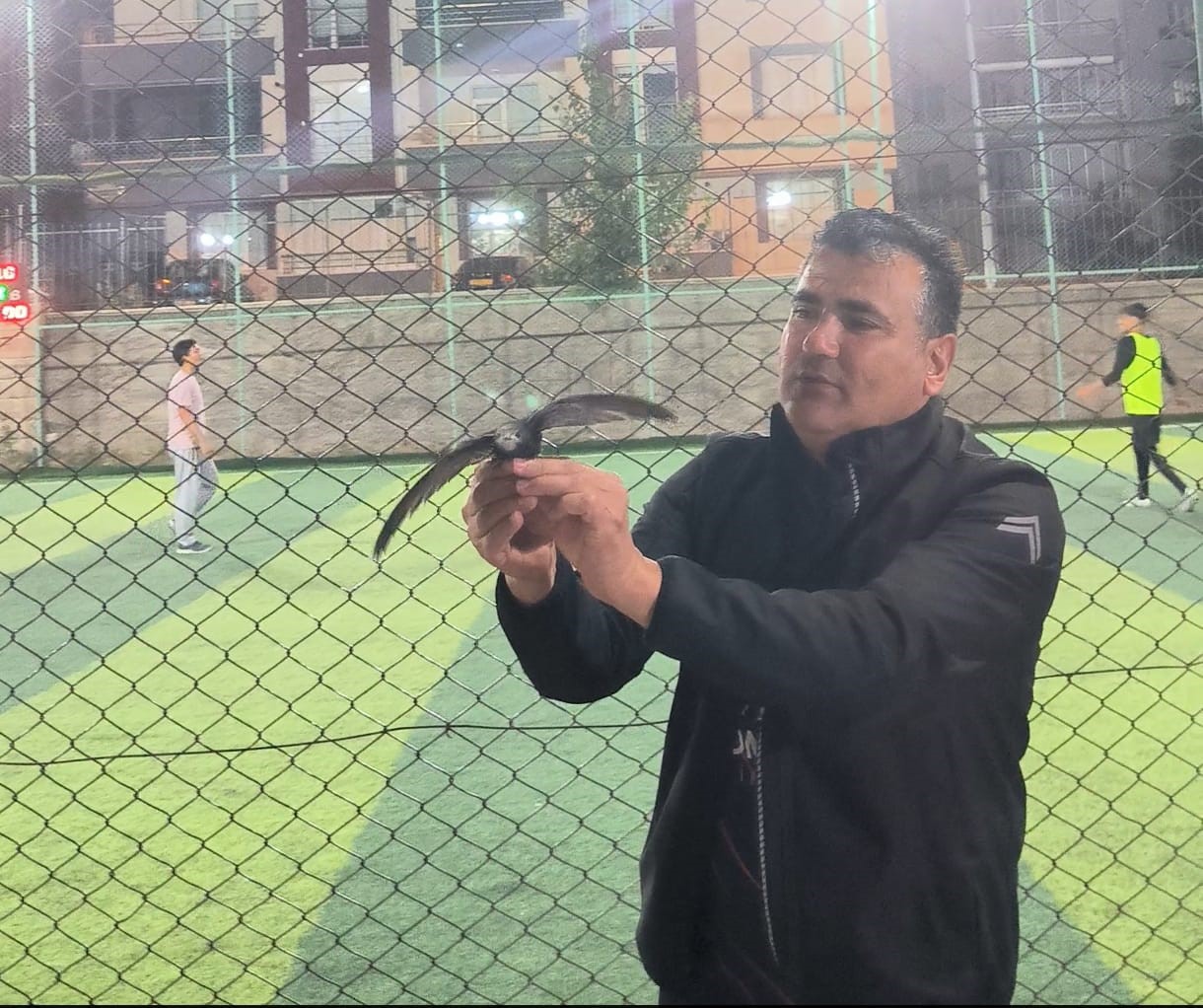 Kırşehir’de bir vatandaş, yaralı ebabil kuşunu kurtararak Doğa Koruma ve