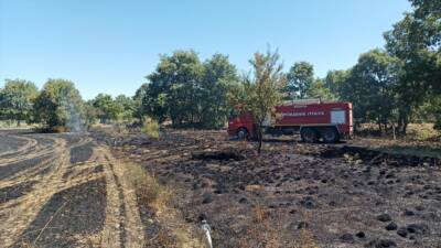KONYA (AA) – Konya’nın Beyşehir ilçesinde çıkan yangında arpa ekili