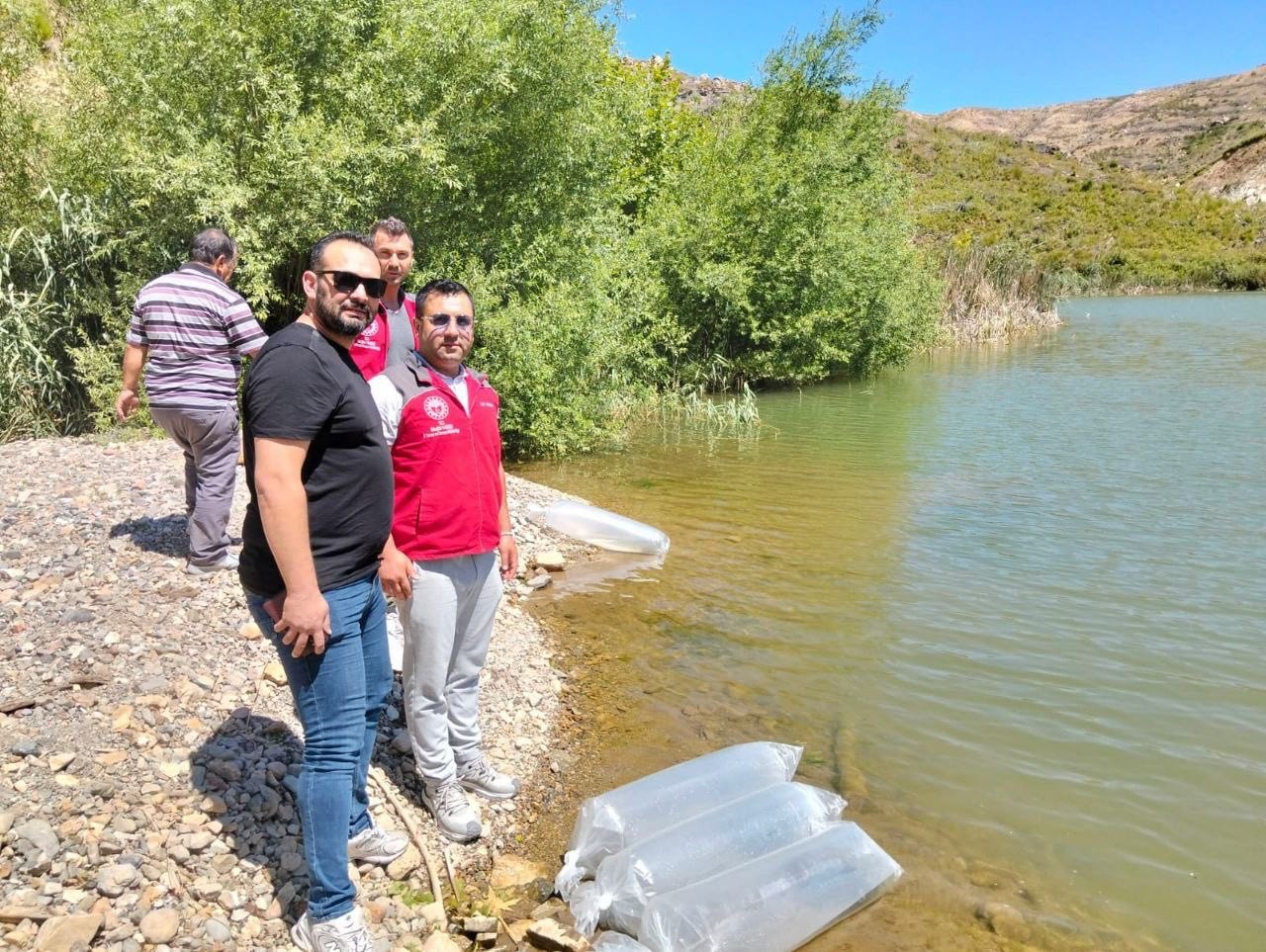 Muğla’nın Menteşe ilçesindeki Kozağaç Baraj Gölü’ne 40 bin sazan yavrusu