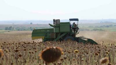 Türkiye’nin önemli üretim merkezlerinden Adana’da aşırı sıcaklık ve poyraz nedeniyle