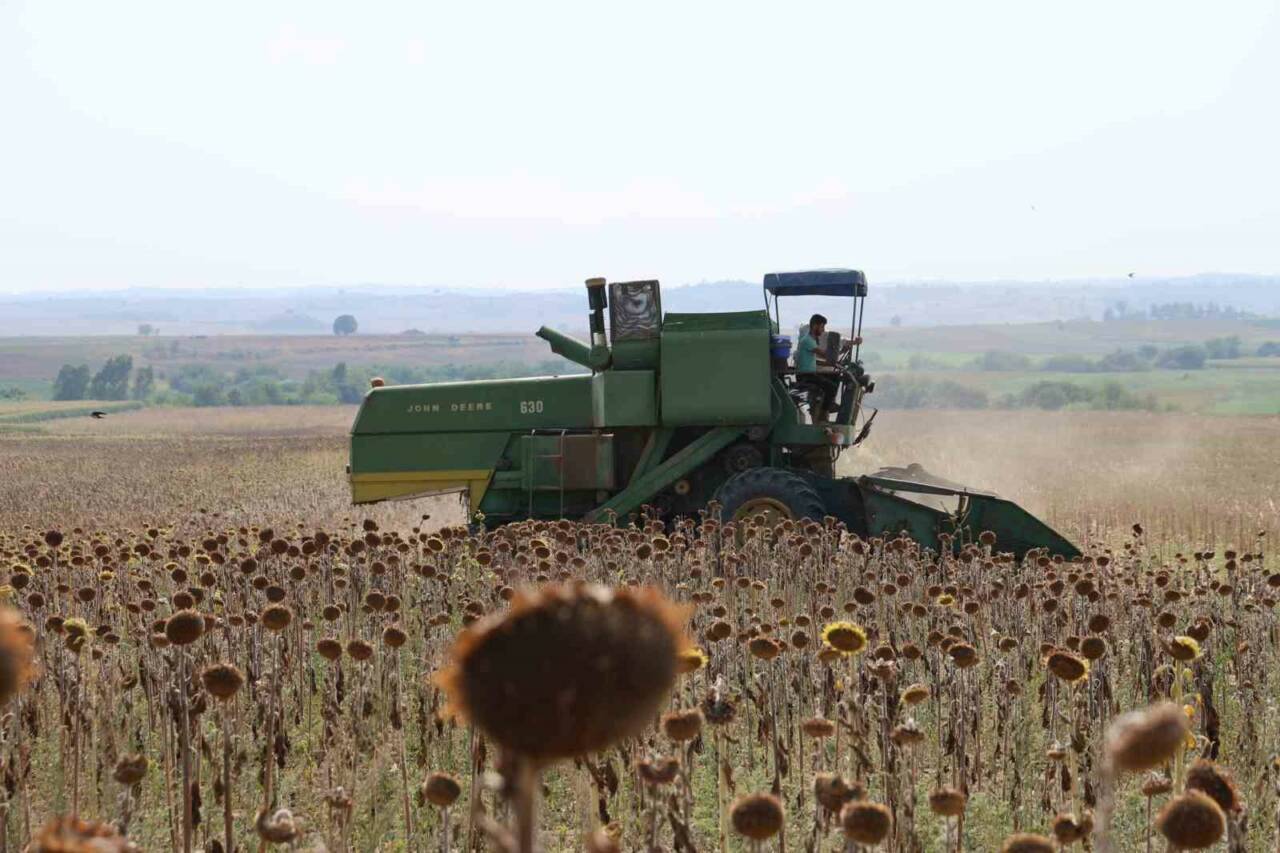 Türkiye’nin önemli üretim merkezlerinden Adana’da aşırı sıcaklık ve poyraz nedeniyle