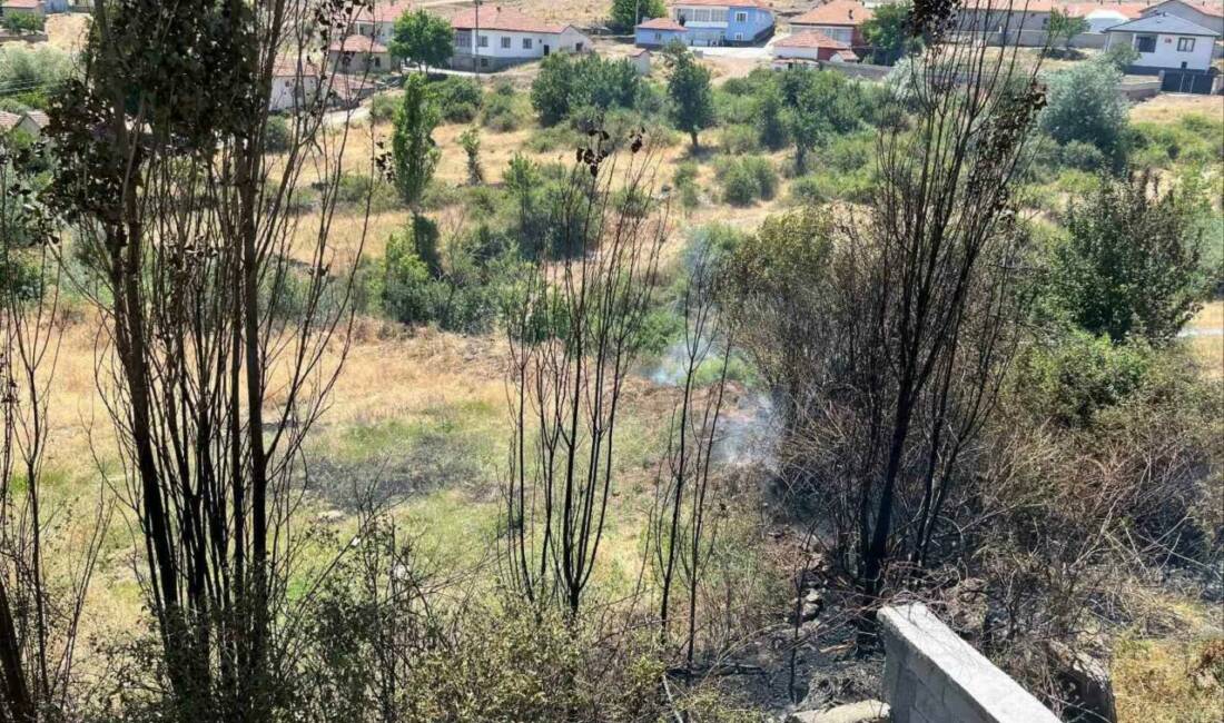 Kuru otları temizlemek isterken yangın çıkarttı, 2 bin 953 lira