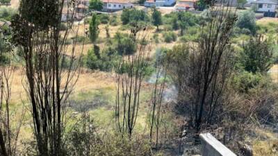 Kuru otları temizlemek isterken yangın çıkarttı, 2 bin 953 lira