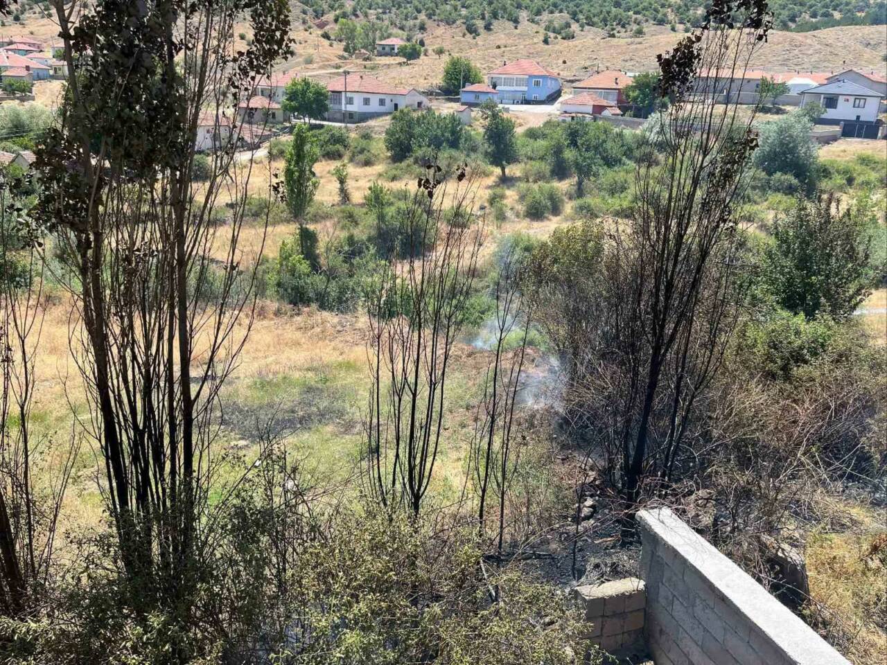 Kuru otları temizlemek isterken yangın çıkarttı, 2 bin 953 lira