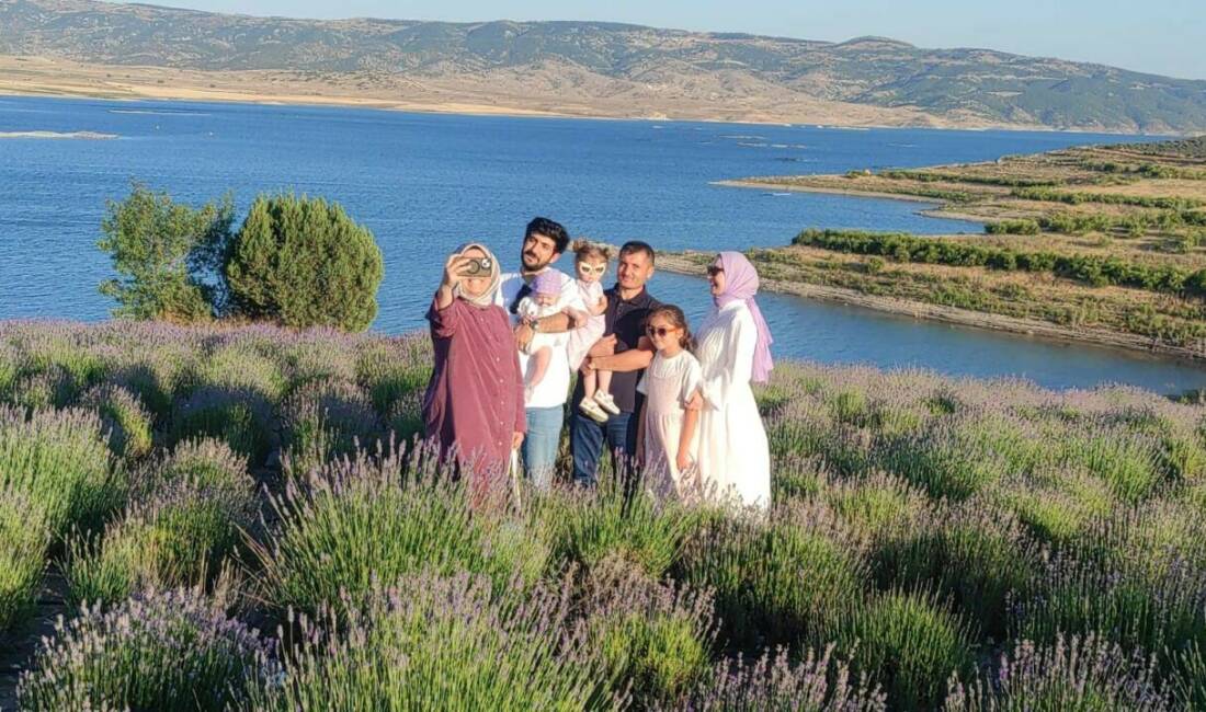 Yozgat’ın Çekerek ilçesinde son yıllarda oluşturulan lavanta bahçeleri, Yozgat’tan ve