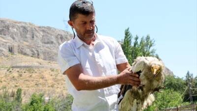 MALATYA (AA) – Malatya’nın Darende ilçesinde, yol kenarında bulunan ve