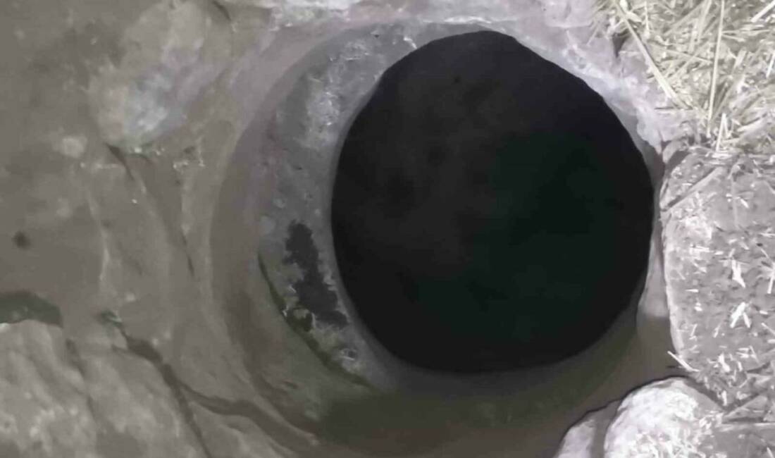 Mardin’in Artuklu ilçesine bağlı Yolbilen Mahallesi’nde kuyuya düşen keçi, itfaiye