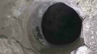 Mardin’in Artuklu ilçesine bağlı Yolbilen Mahallesi’nde kuyuya düşen keçi, itfaiye