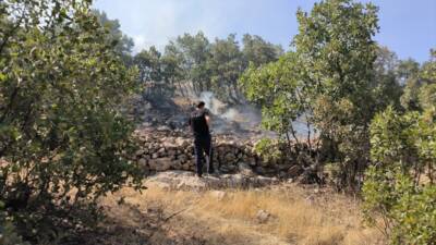 MARDİN (AA) – Mardin’in Ömerli ilçesinde ormanlık alanda çıkan yangın,