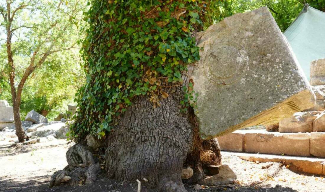 Antalya’da hem arkeolojik sit hem milli park alanı olan Termessos