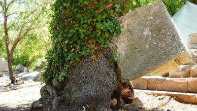 Antalya’da hem arkeolojik sit hem milli park alanı olan Termessos