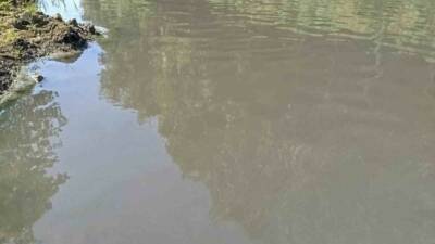 Sakarya’nın Akyazı ilçesinden geçen ve birçok çiftçinin tarım arazilerini sulamak