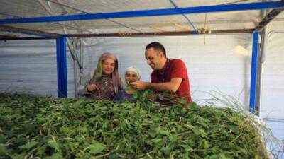 Muğla’nın kadim geçim kaynaklarından biri olan ipekböcekçiliğini canlandırmak amacıyla dut