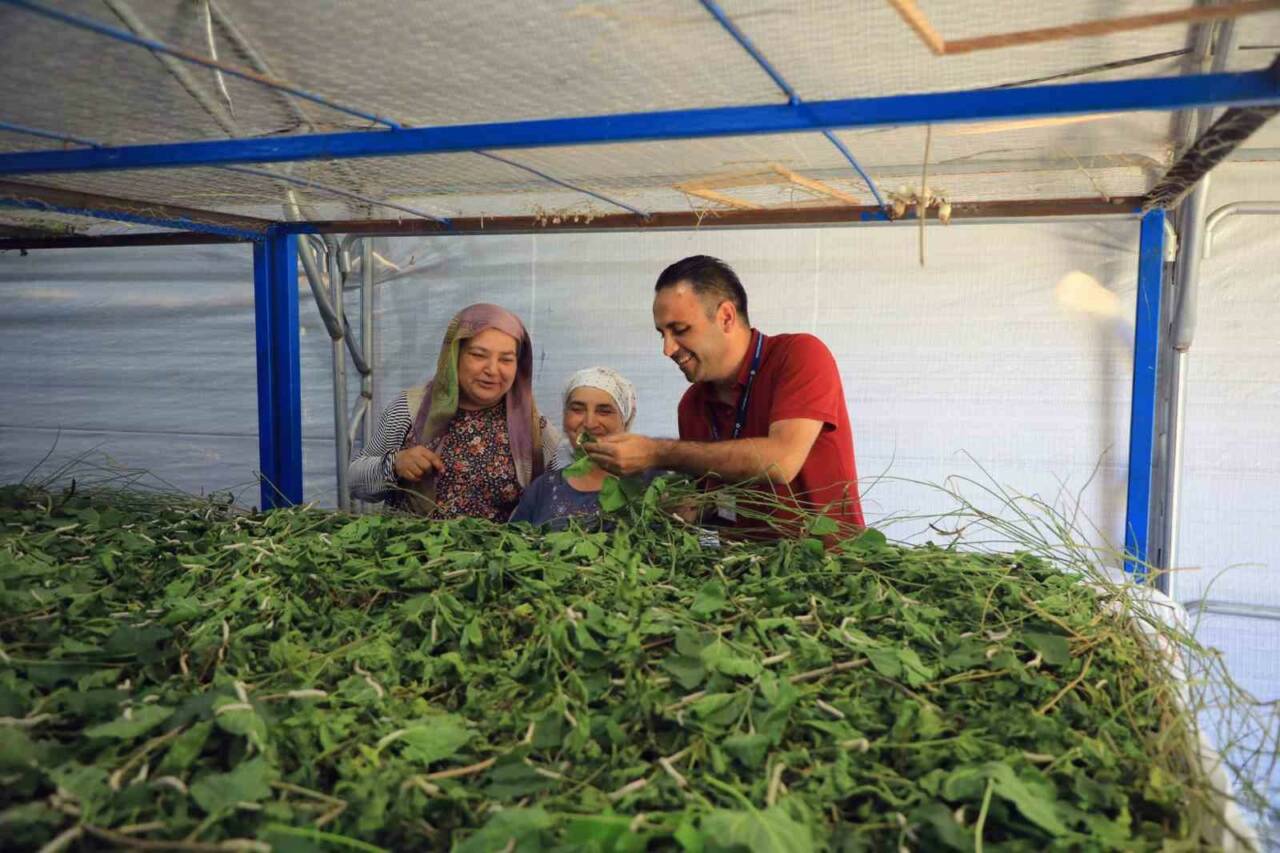 Muğla’nın kadim geçim kaynaklarından biri olan ipekböcekçiliğini canlandırmak amacıyla dut