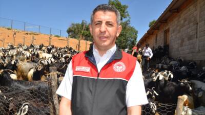 MUŞ (AA) – Muş Tarım ve Orman Müdürlüğü ekipleri, kentteki