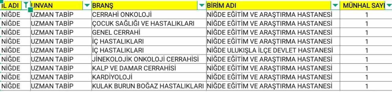 Niğde İl Sağlık Müdürlüğü; sağlık alanındaki hizmet kalitesini artırmak amacıyla
