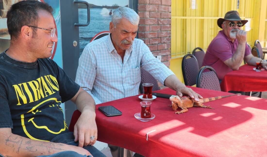 - Yozgat'ın Sorgun ilçesine bağlı Bahadın beldesinde kafe işleten Güner