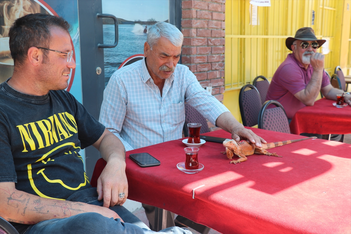 - Yozgat'ın Sorgun ilçesine bağlı Bahadın beldesinde kafe işleten Güner