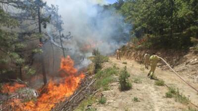 Bursa’nın Mustafakemalpaşa ilçesinde ormanda odun keserken motorlu testerenin egzozundan yangına