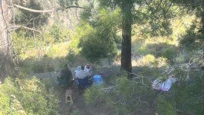 Mersin’in Erdemli ilçesinde ormanlık alanda yasak olmasına rağmen piknik yapan