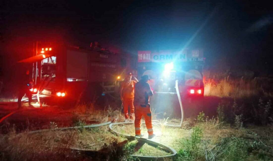 Bursa’nın İnegöl ilçesinde otluk alanda çıkan yangın ağaçlık alana sıçradı.