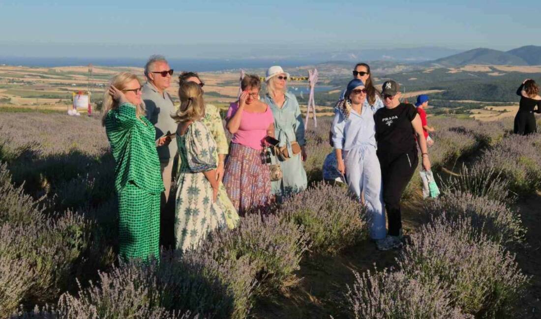 Tekirdağ’ın Süleymanpaşa ilçesindeki mor lavanta tarlaları, Rusya’dan gelen turistlerin ilgisini
