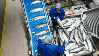 Samsun İl Tarım ve Orman Müdürü İbrahim Sağlam, 2025 yılının