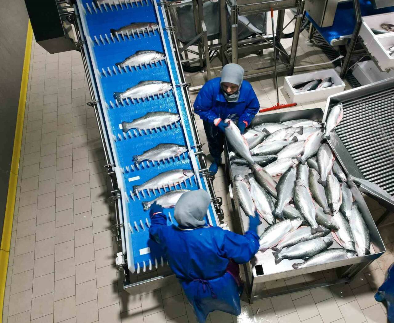 Samsun İl Tarım ve Orman Müdürü İbrahim Sağlam, 2025 yılının