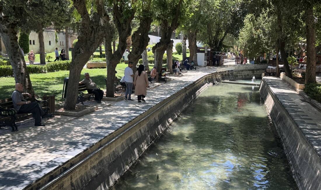 ŞANLIURFA (AA) – Şanlıurfa’da etkili olan sıcak hava hayatı olumsuz