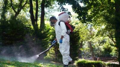 Şişli Belediyesi, halk sağlığını tehdit eden kene ve sineklere karşı