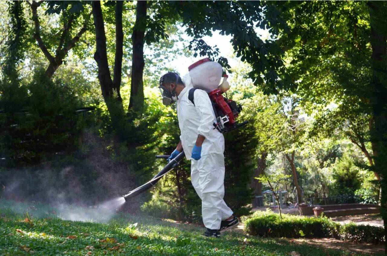 Şişli Belediyesi, halk sağlığını tehdit eden kene ve sineklere karşı