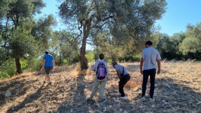 Ayvalık Alan Başkanlığı, geçmişte zeytinlerin yük hayvanlarıyla fabrikalara taşındığı yolları