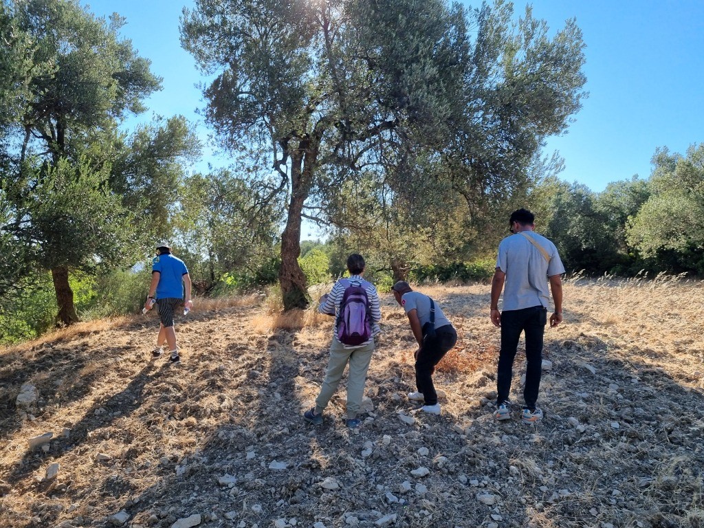 Ayvalık Alan Başkanlığı, geçmişte zeytinlerin yük hayvanlarıyla fabrikalara taşındığı yolları