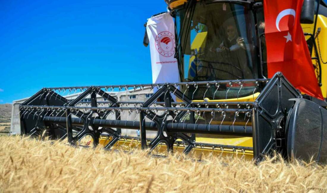 Tunceli, yıllık hububat ihtiyacının 24 katından fazla hububat üreterek ülke