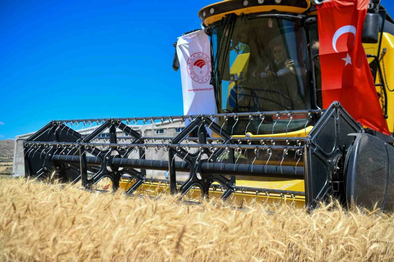 Tunceli, yıllık hububat ihtiyacının 24 katından fazla hububat üreterek ülke