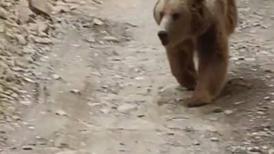 Tunceli’nin Munzur Vadisi’nde, doğaseverlerin objektifine yansıyan görüntüler izleyenleri adeta etkiledi.