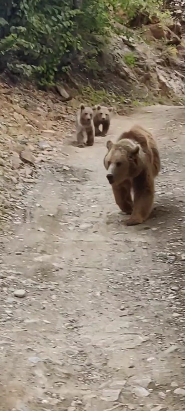 Tunceli’nin Munzur Vadisi’nde, doğaseverlerin objektifine yansıyan görüntüler izleyenleri adeta etkiledi.