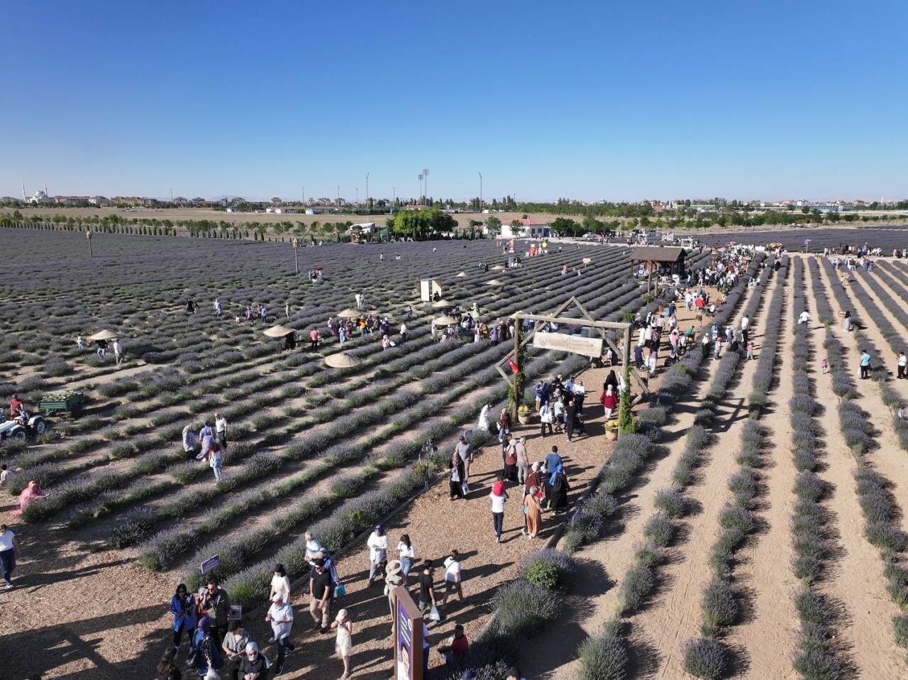Karatay Lavanta Günleri, bu yıl da binlerce vatandaşı etkileyici atmosferiyle