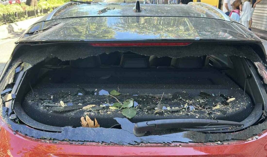 Üsküdar’da refüjde bulunan ağaç, park halindeki bir cipin üzerine devrildi.