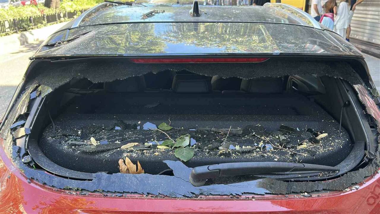 Üsküdar’da refüjde bulunan ağaç, park halindeki bir cipin üzerine devrildi.