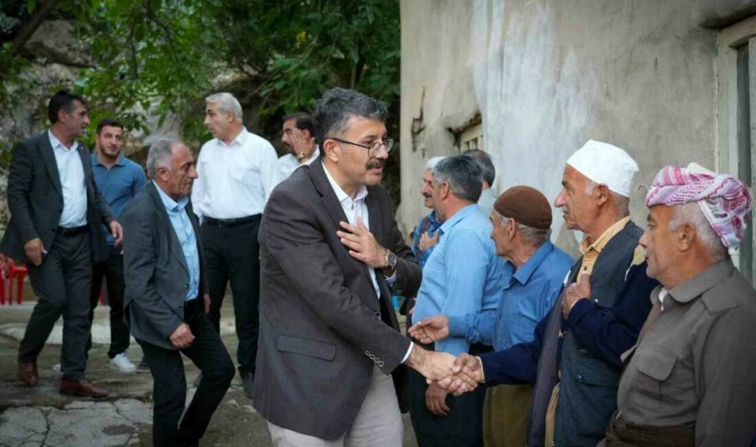 Hakkari Valisi Ali Çelik, Şemdinli ilçesi Beyyurdu köyündeki yol çalışmalarını