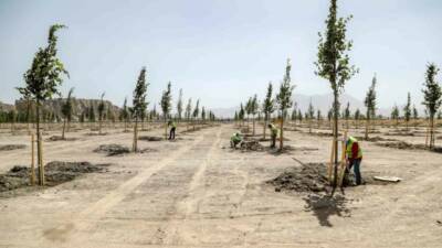 Van Büyükşehir Belediyesi, Van Gölü Sahil Yolu üzerinde yer alan