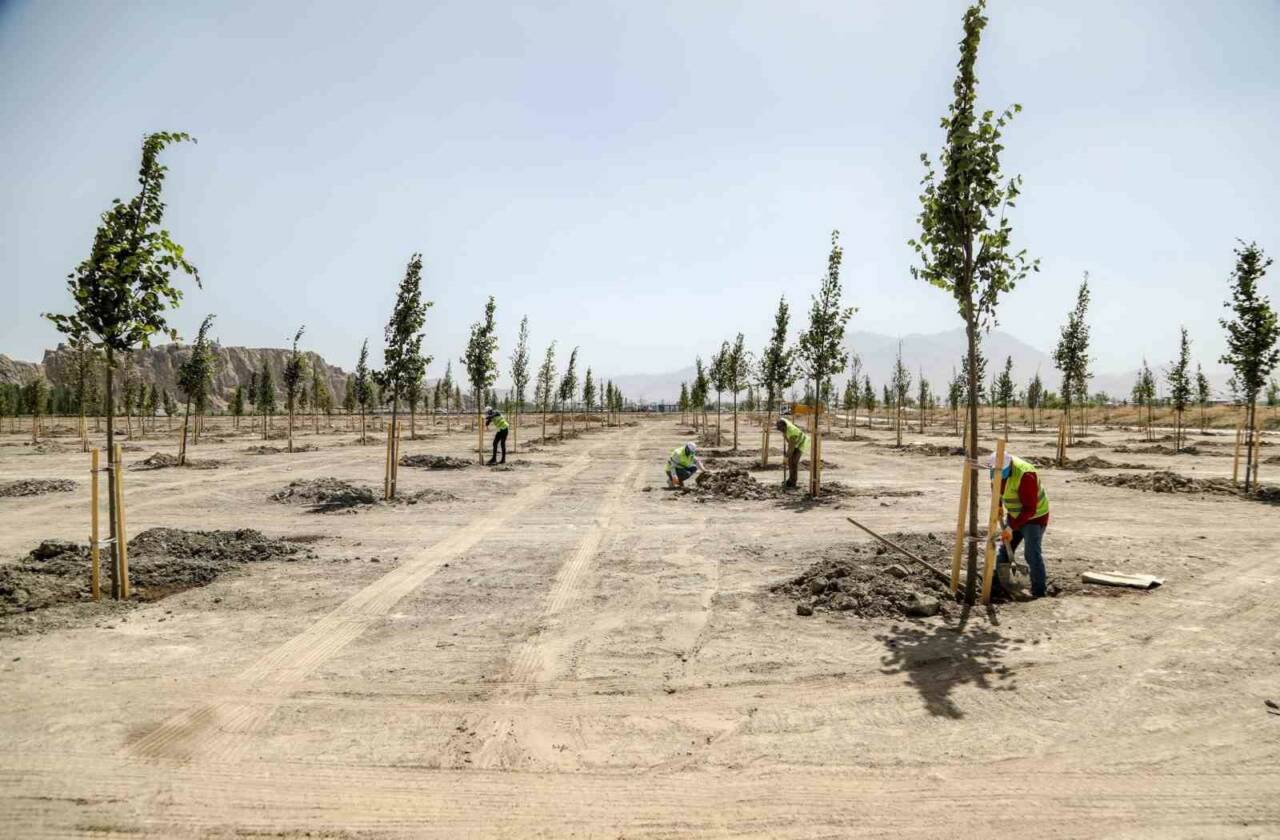 Van Büyükşehir Belediyesi, Van Gölü Sahil Yolu üzerinde yer alan